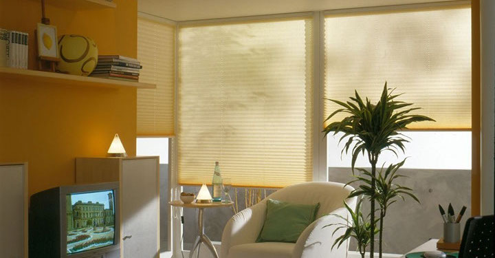 Beispielfoto Plissees Beispielfoto Plissees