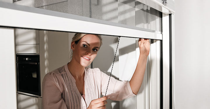 Beispielfoto Insektenschutz